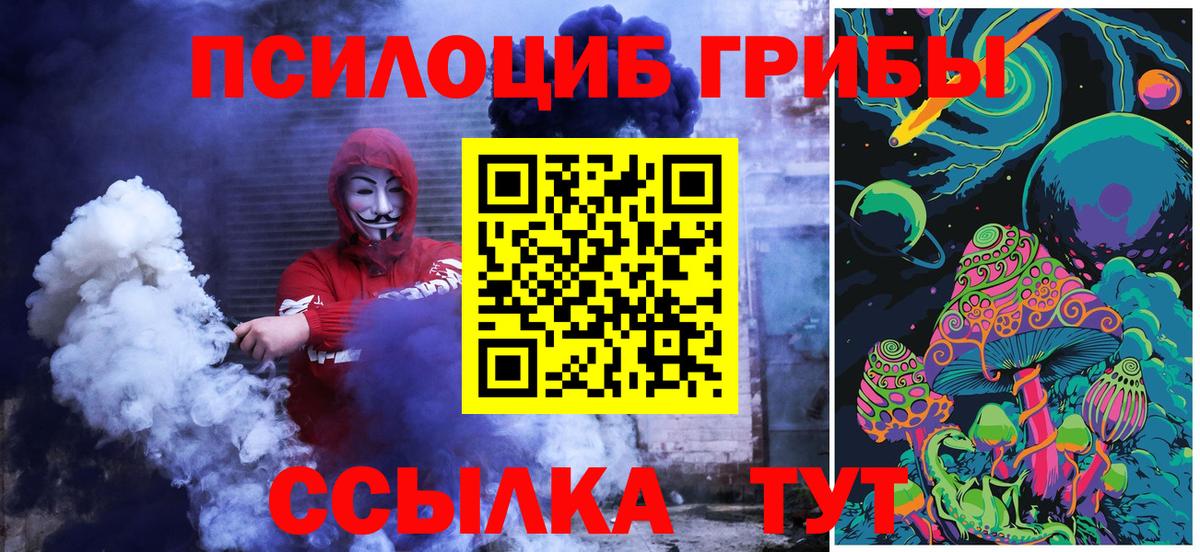 Галлюциногенные грибы Psilocybine cubensis  Псилоцибиновые грибы ЛСД  Тайшет  Вход с VPN 
